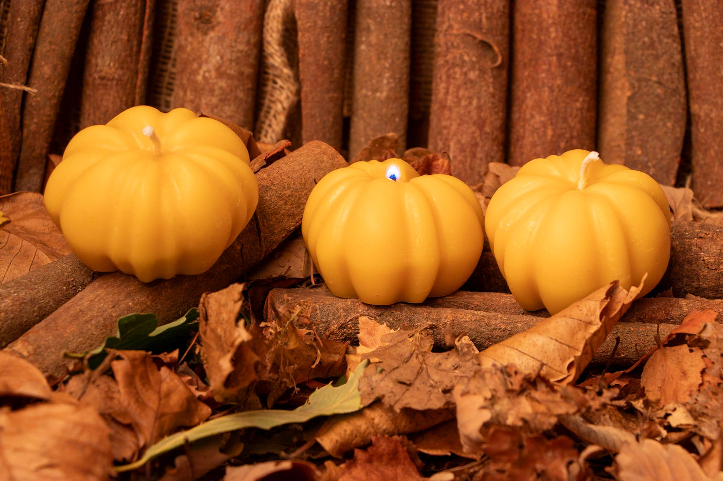 Autumn Beeswax Pumpkin Candle, Perfect for Autumn & Halloween Decor, Handmade from 100% beeswax sourced from small-scale London beekeepers, Perfect Autumn gift, Candle centrepiece