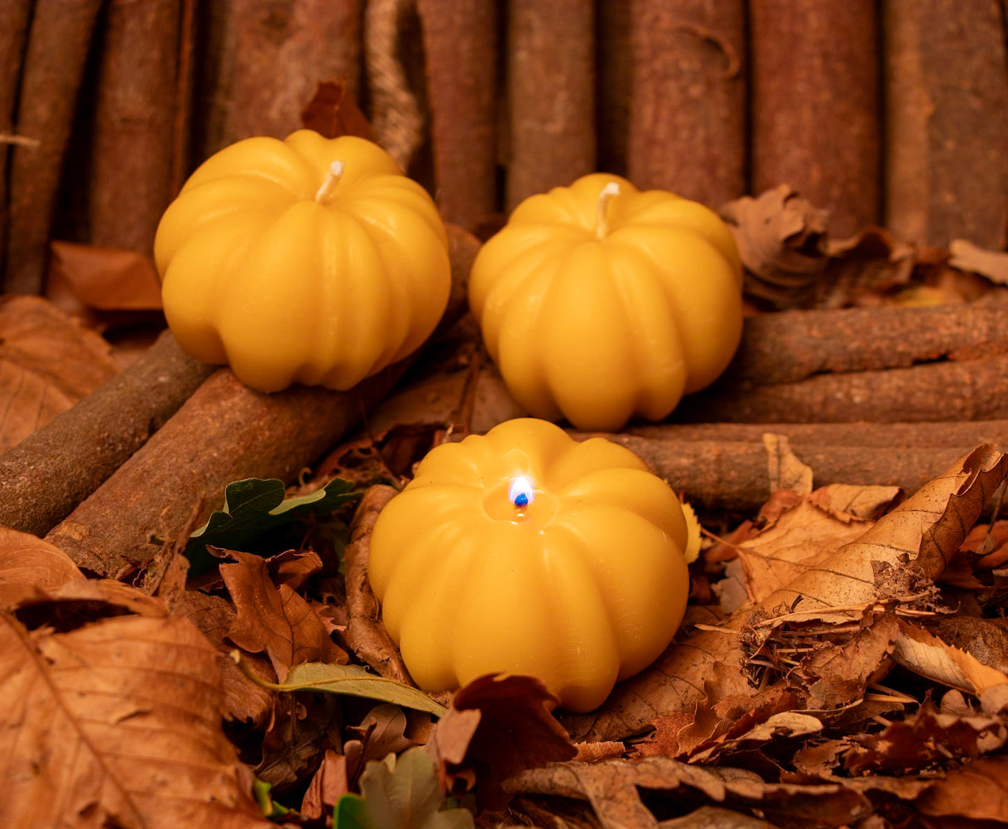 Autumn Beeswax Pumpkin Candle, Perfect for Autumn & Halloween Decor, Handmade from 100% beeswax sourced from small-scale London beekeepers, Perfect Autumn gift, Candle centrepiece
