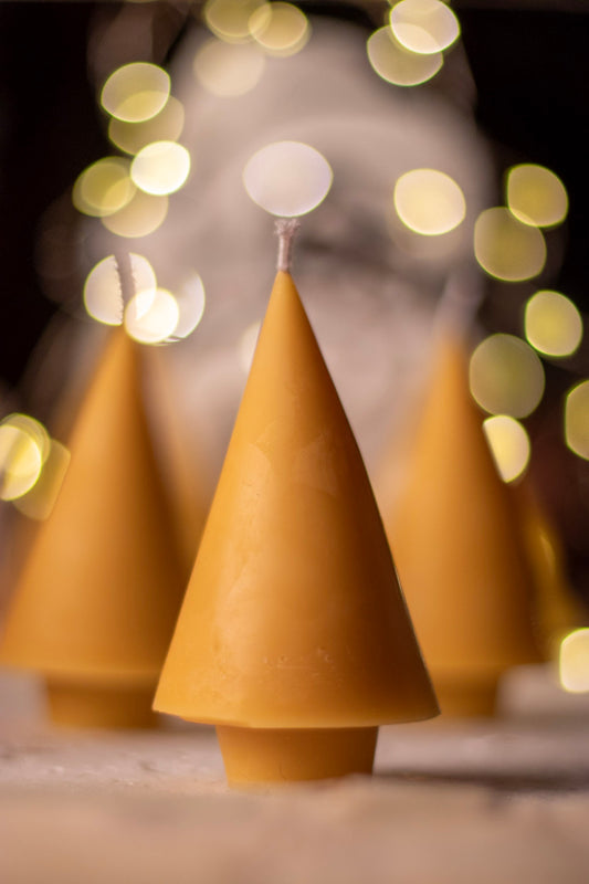 Minimalist Pure Beeswax Tree Candle: Simple, Natural Elegance, Handmade from 100% beeswax sourced from small-scale London beekeepers, Perfect Winter gift, Candle centrepiece, Natural beeswax candle, Festive, Christmas candle