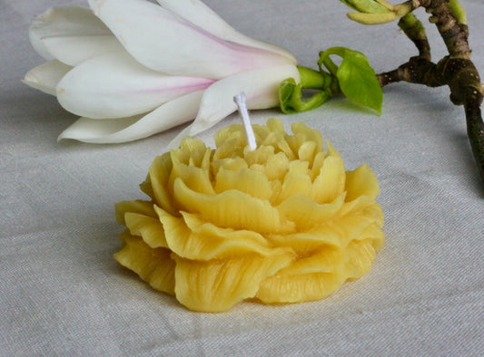 Eco-friendly beeswax peony candle gifts, Eco party favours, Beeswax sourced from small-scale London beekeepers, Bee friendly candle gifts