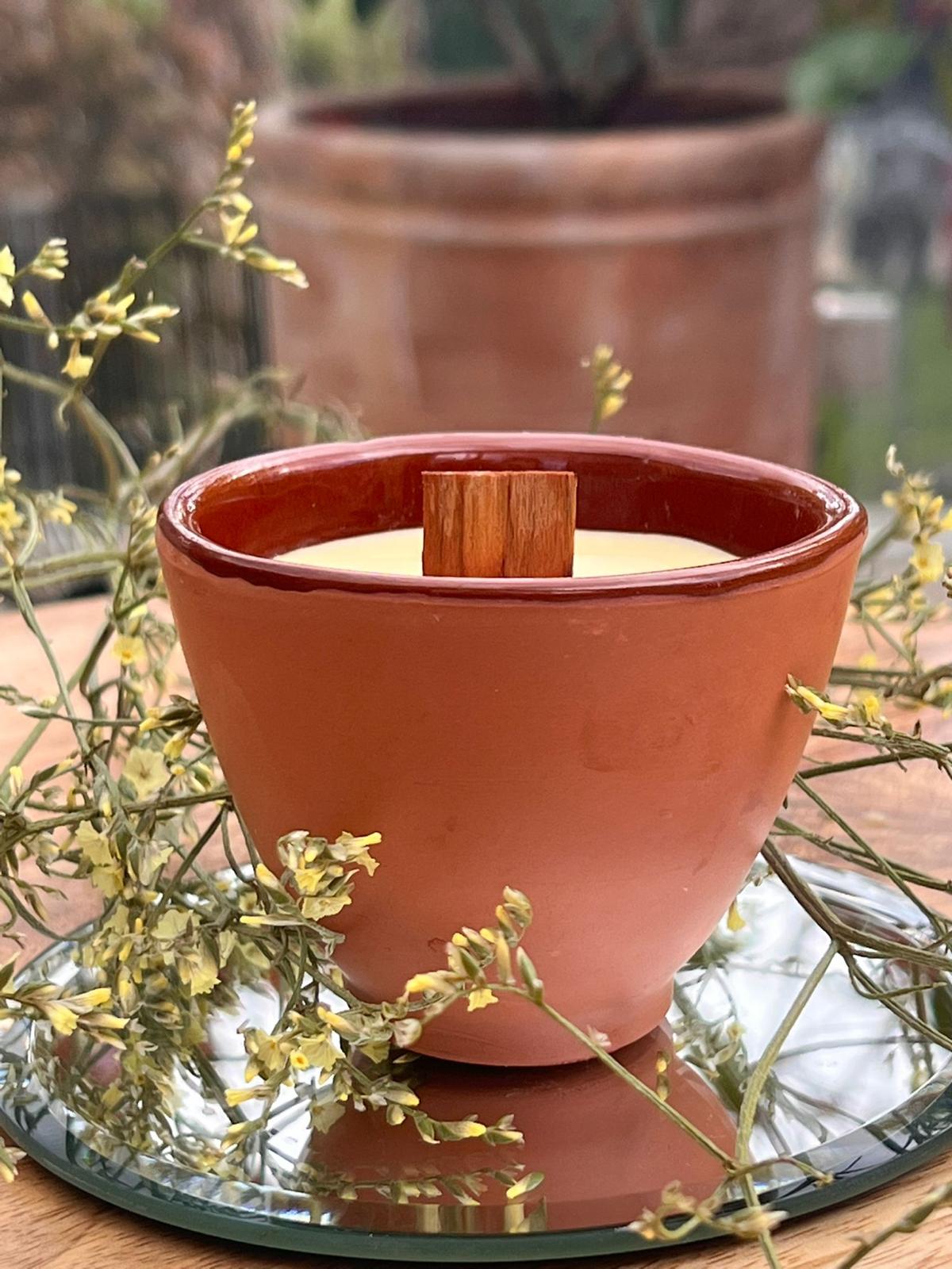 NEW! The London Beeswax Citronella Garden Terracotta Candle, Organic essential oils scented candle, Eco-friendly garden candle, Hand poured, Outdoor patio candle, Wedding garden reception